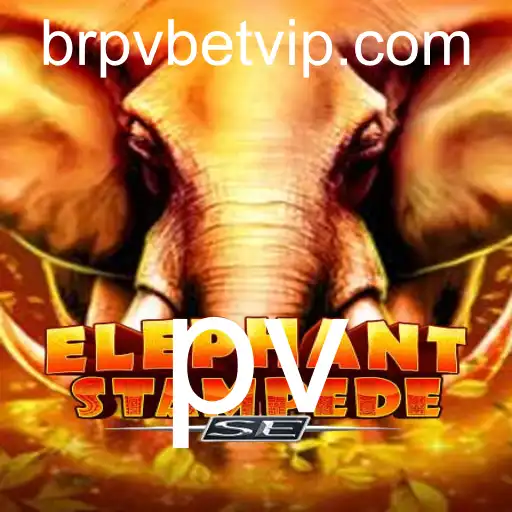 Everything You Need to Know About 'ElephantStampedeSE' - Your Ultimate Guide